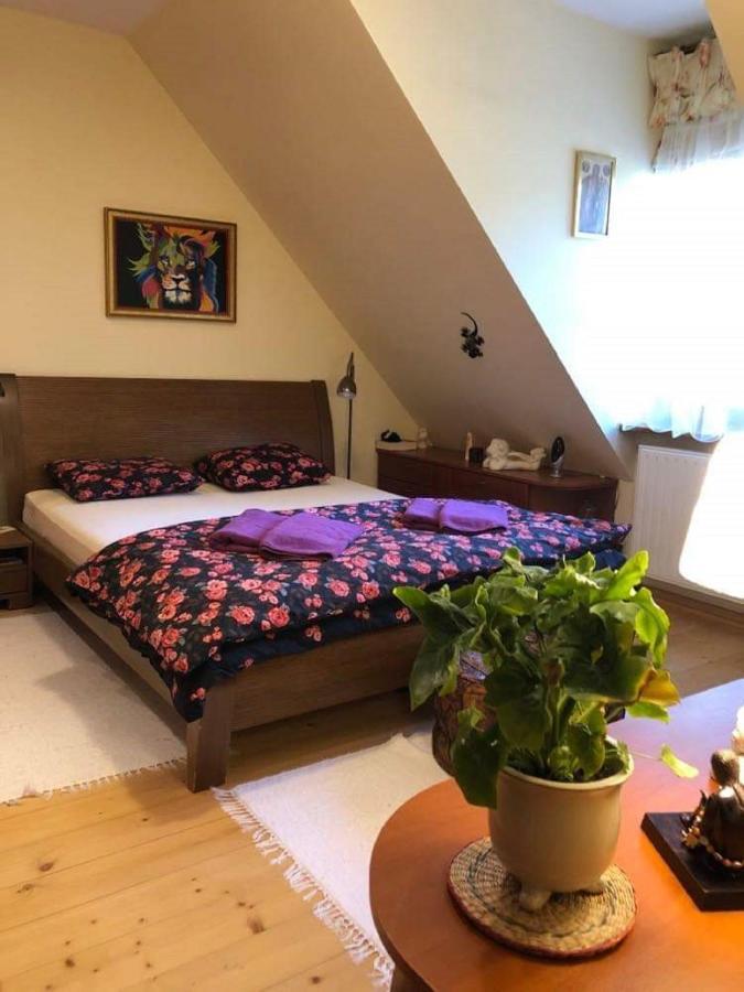 Bed and Breakfast Willa Nad Popradem Piwniczna-Zdroj Экстерьер фото
