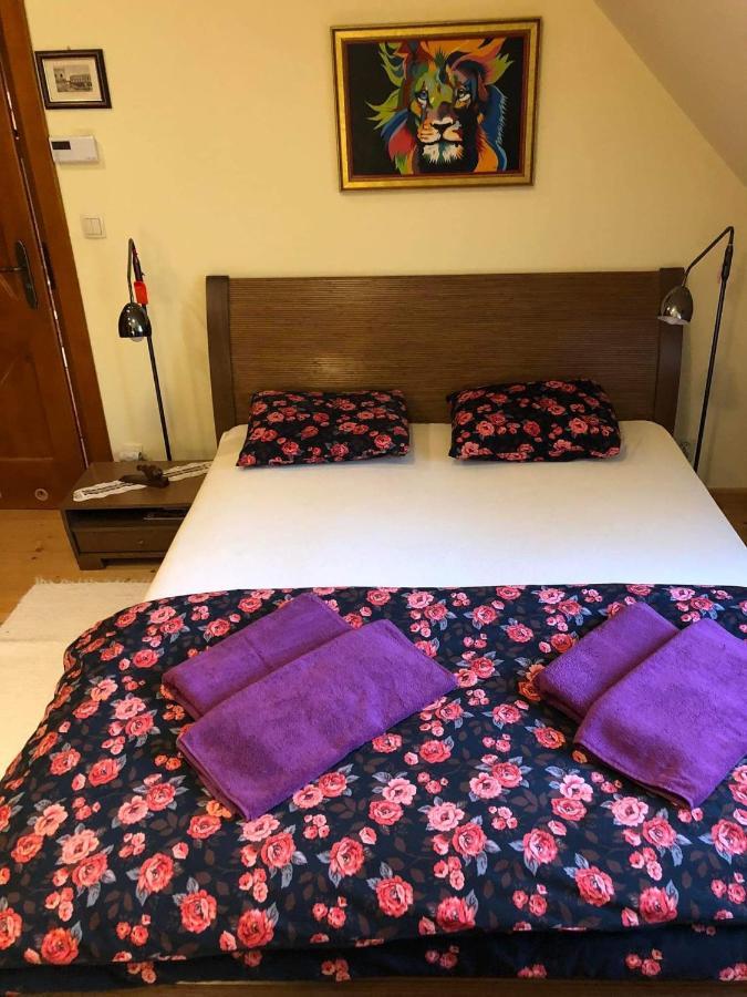 Bed and Breakfast Willa Nad Popradem Piwniczna-Zdroj Экстерьер фото