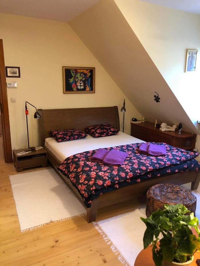 Bed and Breakfast Willa Nad Popradem Piwniczna-Zdroj Экстерьер фото