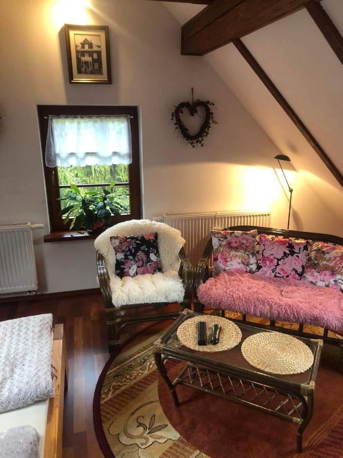 Bed and Breakfast Willa Nad Popradem Piwniczna-Zdroj Экстерьер фото