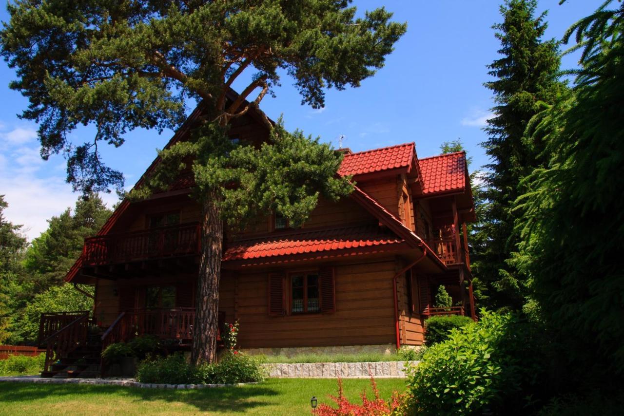 Bed and Breakfast Willa Nad Popradem Piwniczna-Zdroj Экстерьер фото