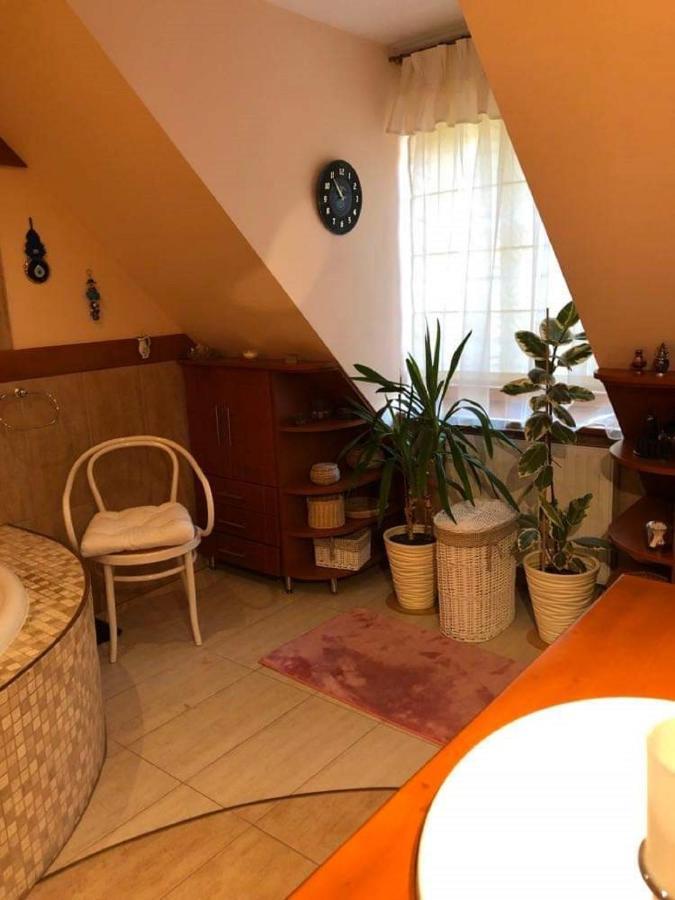 Bed and Breakfast Willa Nad Popradem Piwniczna-Zdroj Экстерьер фото