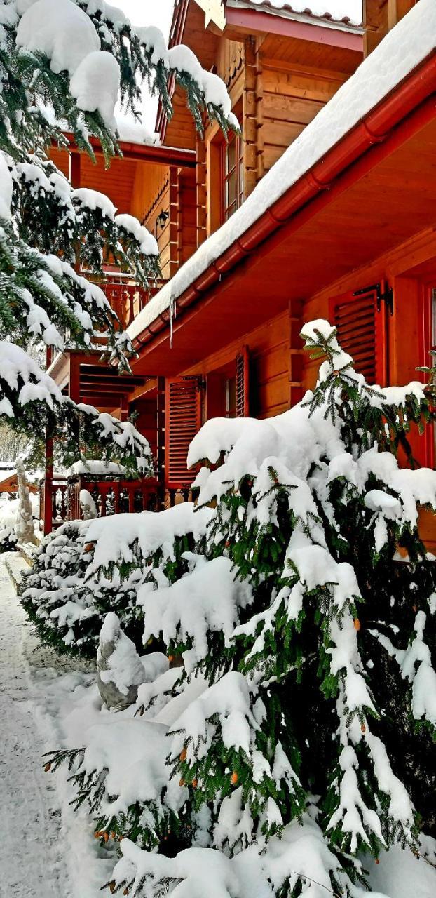 Bed and Breakfast Willa Nad Popradem Piwniczna-Zdroj Экстерьер фото
